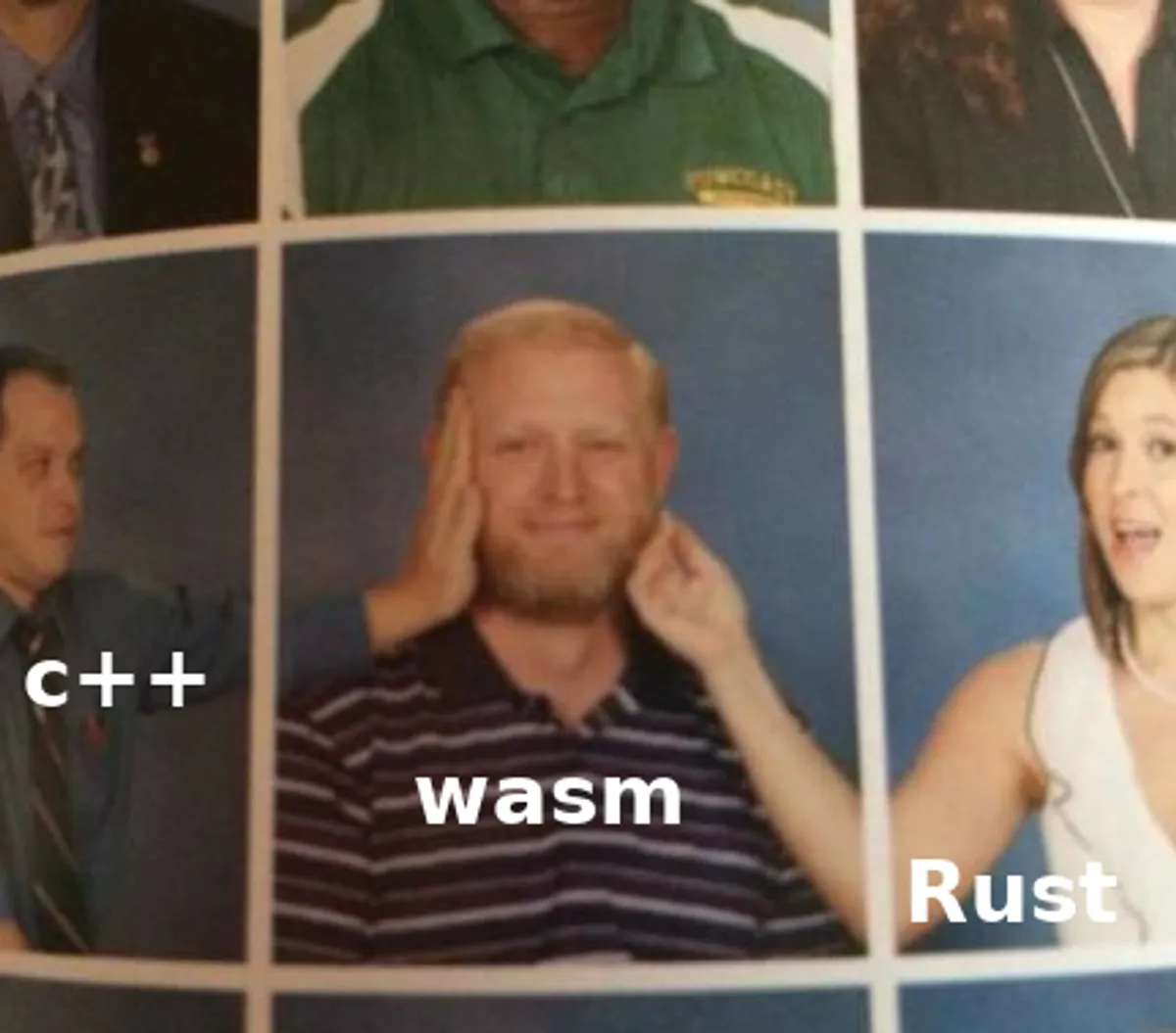 Wasm 二进制结构