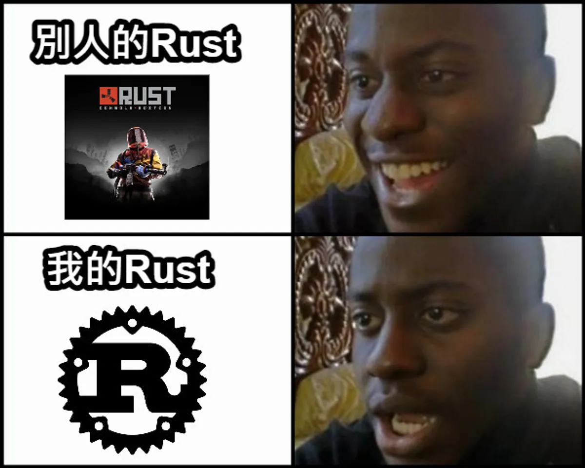 我学编程原神 Rust